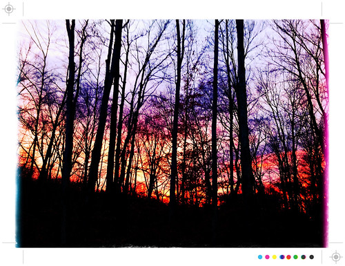 trees sunset white haven forest pennsylvania poconos