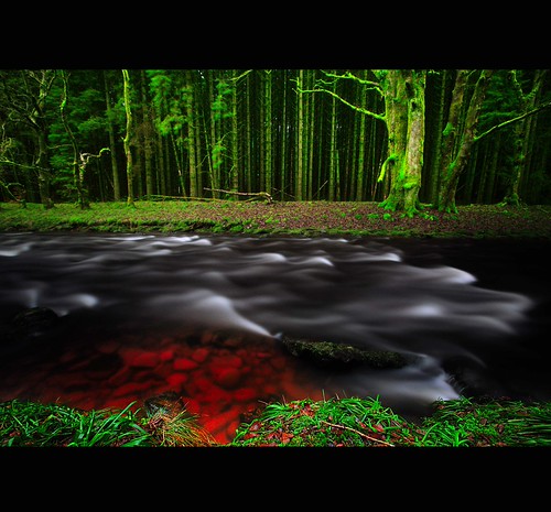" THE STREAM " by Wiffsmiff23 AWPF