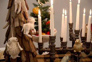 New Brahmin Holiday