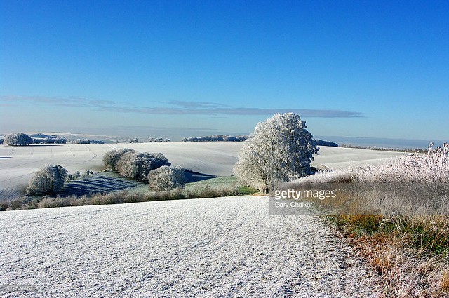 Hoar frost, Baydon Wiltshire