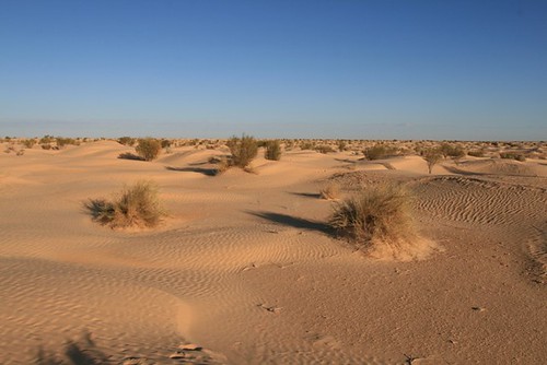 cbertrandpleutin bertrandpleutin tunisie sahara grandergoriental erg desert sable sand dunes marabout boujouhif lacsalé lac lake