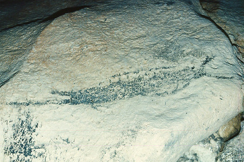 Squid drawn with charcoal on white limestone walls of the Chugai cave in Rota.  Courtesy of L. Cunningham.

L. Cunningham/Judy Flores