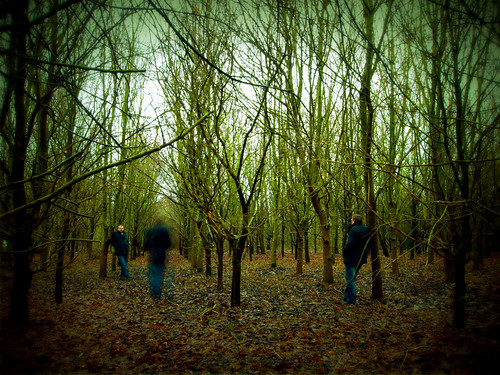 trees me pen self three woods olympus sp ep1