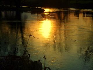 Water sunset