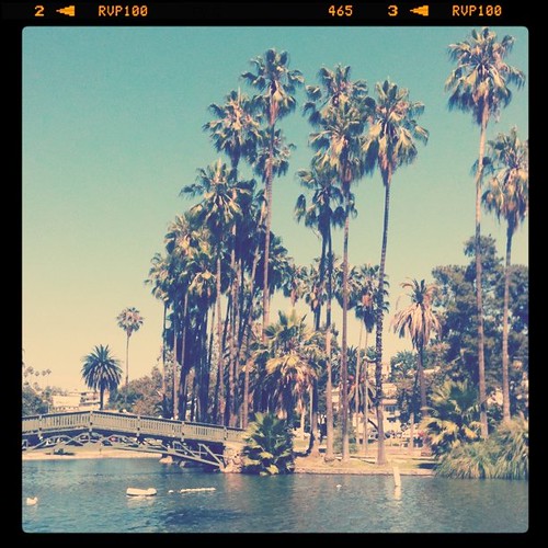 Echo Park, CA | by Arithmetic Pictures