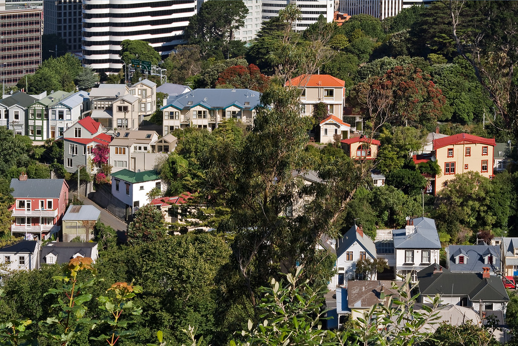 various houses with pohutukawa and other trees by Lester Ralph Blair