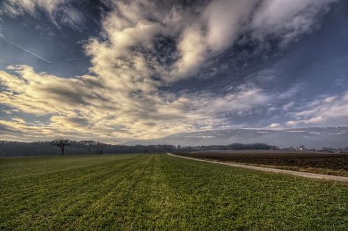 canon eos 450d sigma 1020mm hdr photomatix nature paysage landscape arbre tree campagne meadow prairie champs field suisse sky nuages clouds philippesaire wideangle switzerland swiss cloudy day schweiz photo photography ciel