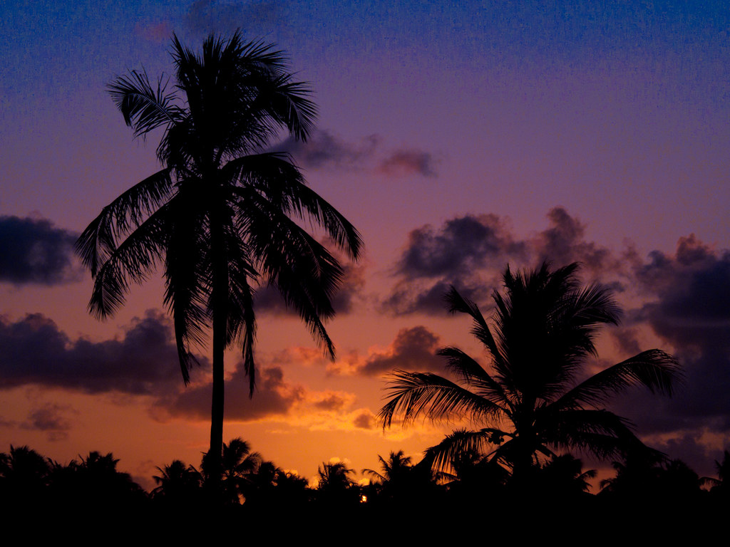 gone | sunset in da hood | Helder C Jr | Flickr