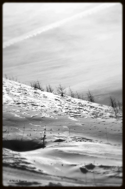 Snow desert © Nicola Roggero