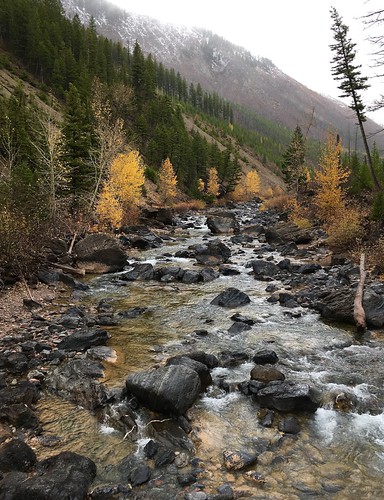 North Fork Blackfoot River.  Montana, 