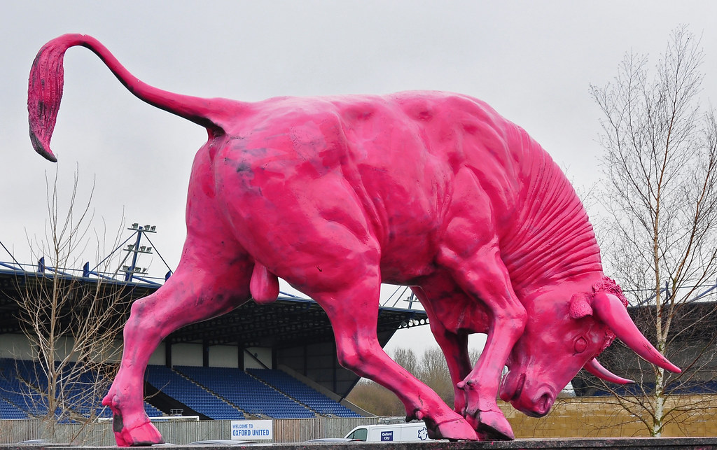 pink ox | Margaret Stranks | Flickr