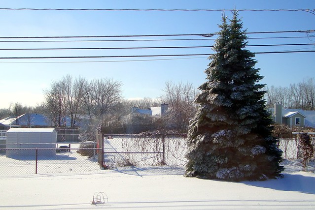 Winter January 2011 4453bf 4x6