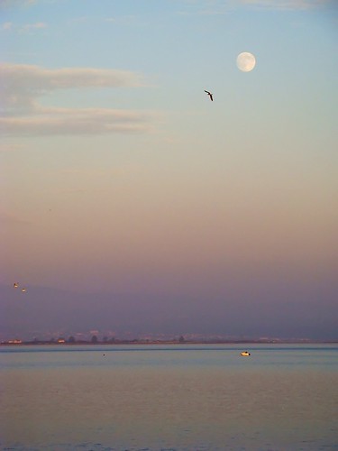pink blue moon portugal sunshine birds clouds geotagged boat purple gaivotas dusk sony lagoon moonrise nuvens lua ria anoitecer gaivota aveiro torreira crepúsculo riadeaveiro ip3 escurecer sonydsch9 twighlighttime ilustrarportugal ip6 ubichan mygearandme mygearandmepremium mgam6 geo:lat=4071887091128624 geo:lon=8698714694442742