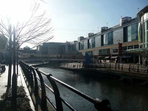 The Oracle | by Reading Tom