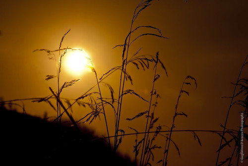 SUNSET by Guglielmo D'Arezzo, day shot best the of vairano patenora