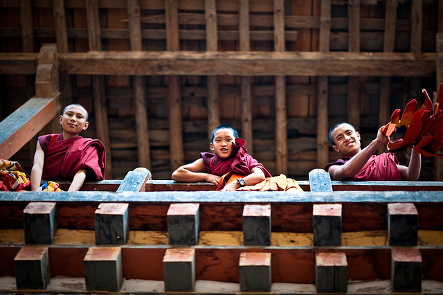 Monks at the Wangdue Dzong