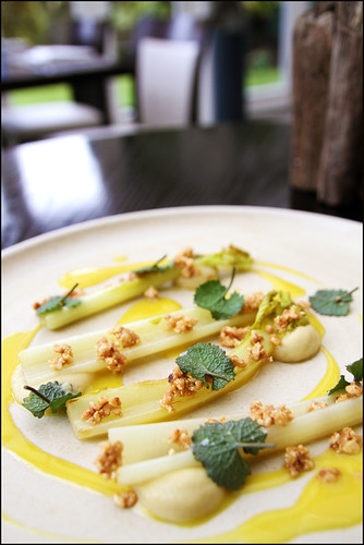 Grilled sea Kale , Golden Beetroot ,hedge garlic ,  Wild flower honey and salted Hazelnut | by sped98