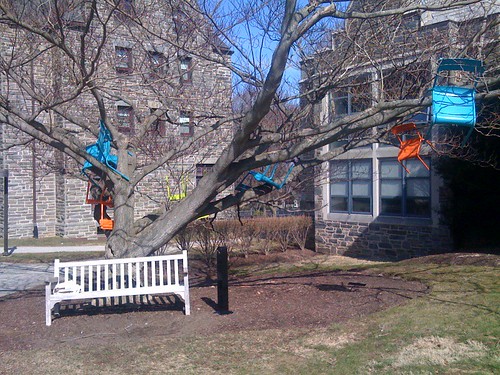 Chairs in a Tree