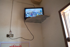 TV broadcast of puja