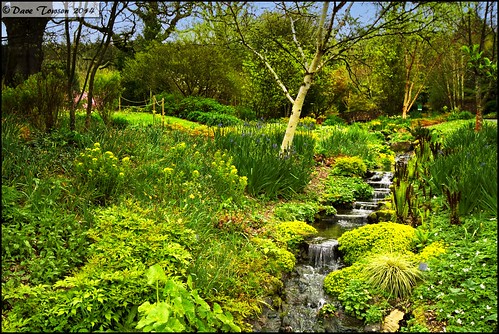 uk trees england gardens landscape scenery walks view horticultural torrington rhs waterscapes royalhorticulturalsociety greattorrington rosemoorgardens