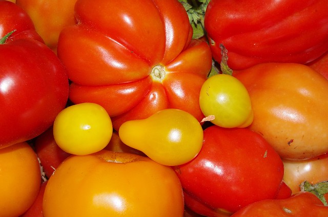 Tomatoes P2848