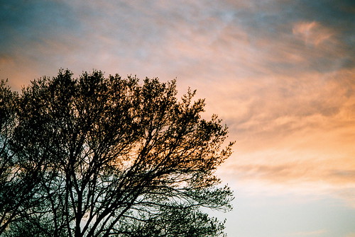 sunset sky tree film austin 1 evening texas friendship kodak dusk olympus romance 35mmfilm romantic om waltwhitman 160vc portra vc om1 flickrfriends zoomlens kodakfilm 160 bartonhills zuikozoom zuiko75150zoom