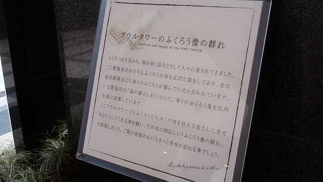 アウルのフクロウたちについて。