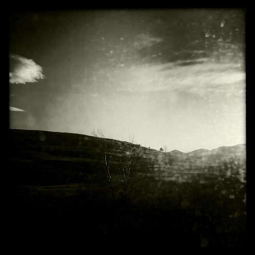 one tree hill by milajake, Snapped this one through the bus window on the way home, with the sunset glaring from the West. Just