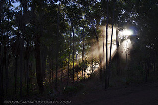 Australia Northern Territory Trees Sunrise