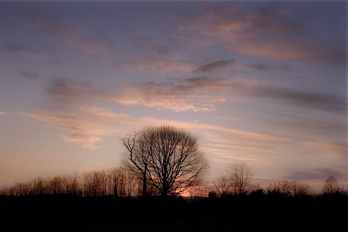 sunset sky tree virginia dream va dreamy 2011 carrollcountyva