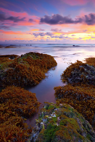 longexposure light sunset sea sky bali seascape seaweed beach nature water clouds canon indonesia landscape rocks tide low shoreline lee filters westcoast tanahlot efs1022mmf3545usm outdoorphotography canoneos50d surfingspot