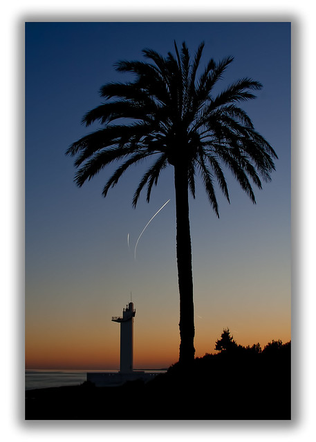 Sunset + lighthouse + Palm tree