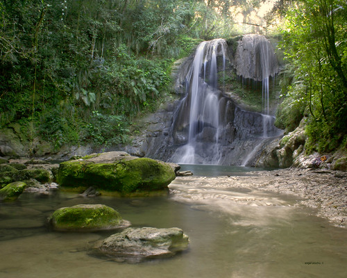 rainforest robles cascada gozalandia charcorincon