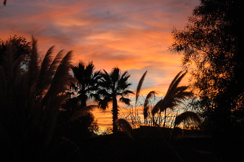Pretty sunset. | At Barb's house in Tucson, AZ. | Sam Craig | Flickr