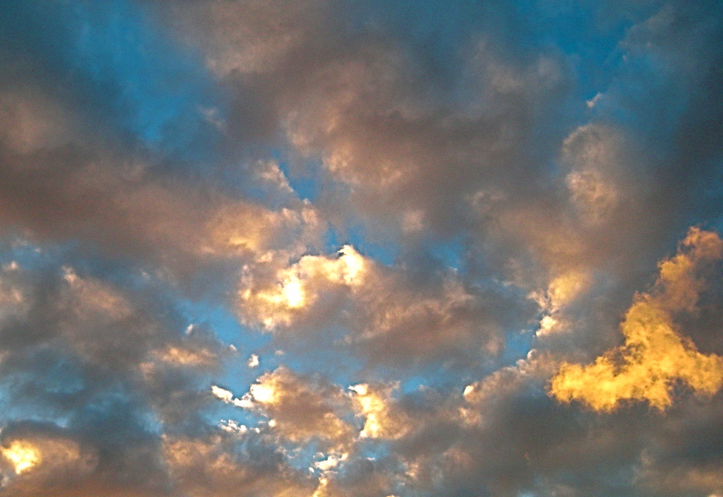 Real Sky | Ari Lynn Day | Flickr