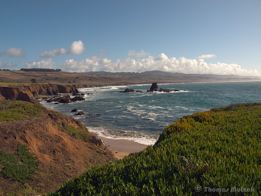 Whaler's Cove at Pigeon Point, California, December 2010