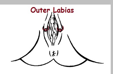 Lump on outer labia - 🧡 Female Private Part Diagram : Women Wear Nothing B...