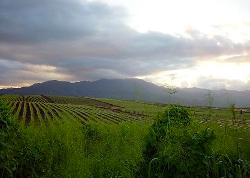 hawaii