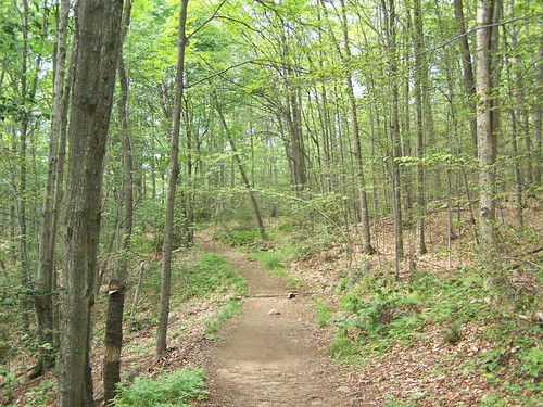 road old mountain woods trail goodnow follows andyarthur