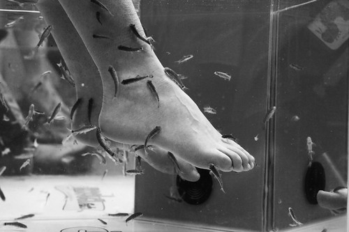 Clean your Feet? | by Gary Parker Photography