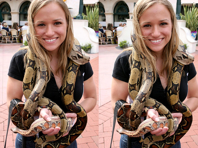 Beautiful Santa Barara girl with boa constrictor snakes in cross-view 3D