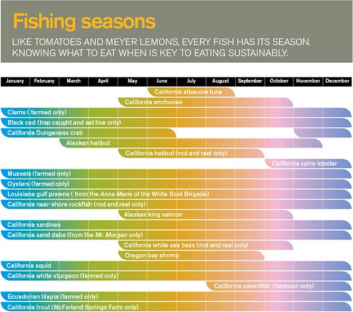 overfishing_013 | by visualizechange