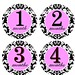 Monthly Milestone Onesie Stickers damask pink