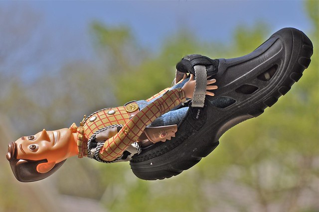 Woody, Out for a Joy Ride in His New Flying Croc
