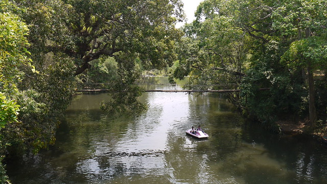 ... river Cauvery at Nisargadhama