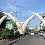 The golden white arches