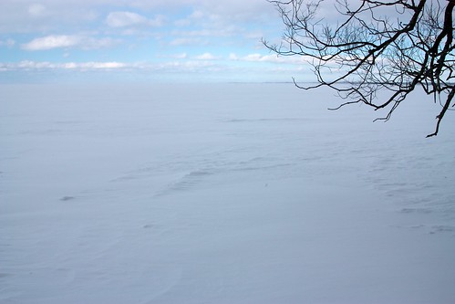 snow tree landscape lakesimcoe
