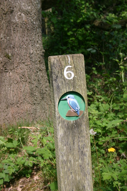 6 Kingfisher Trail 
