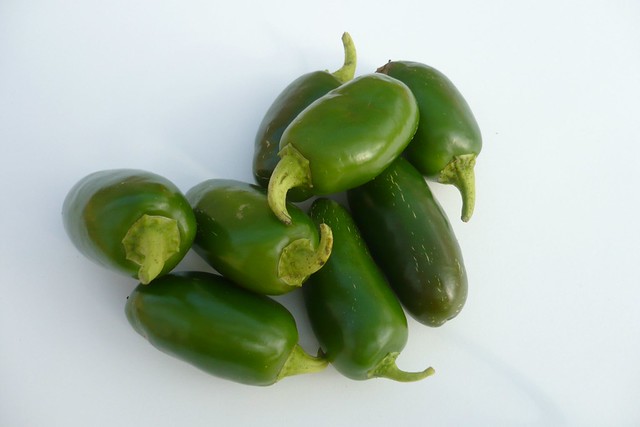 The Chilli Garden | Flickr