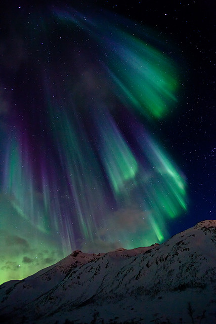 Aurora Borealis Norway
